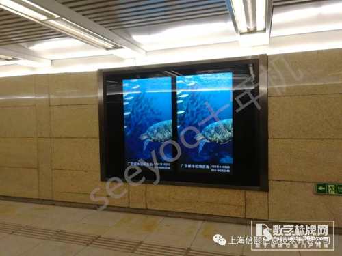 “十年機”頻出沒，時間鑄造經(jīng)典和品質(zhì)